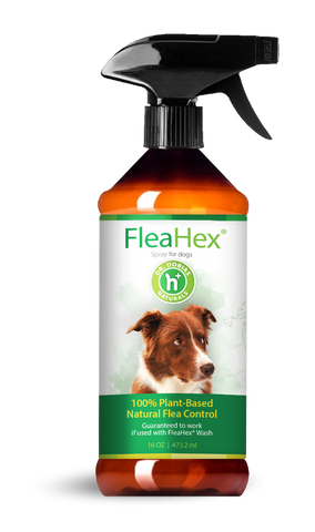 FleaHex® Household Spray (Step 2)
