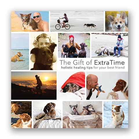 The Gift of Extra Time E-book